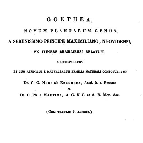 Goethea Nova Acta Deckblatt