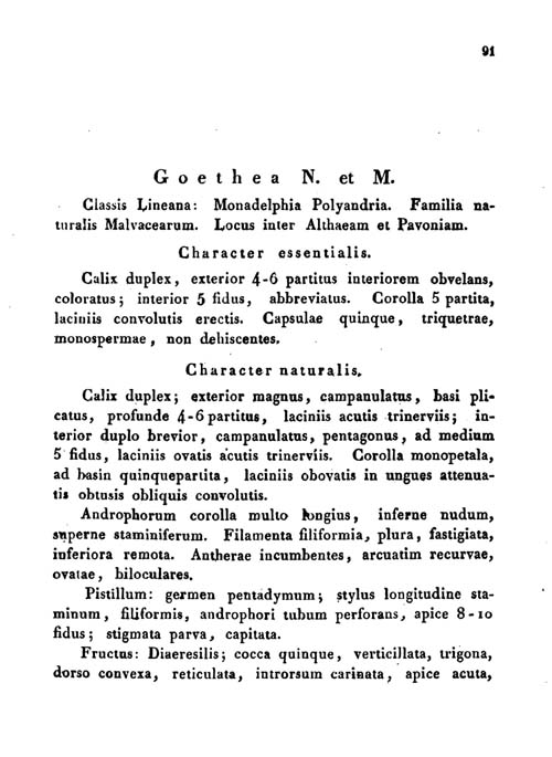 Goethea Nova Acta Seite 91