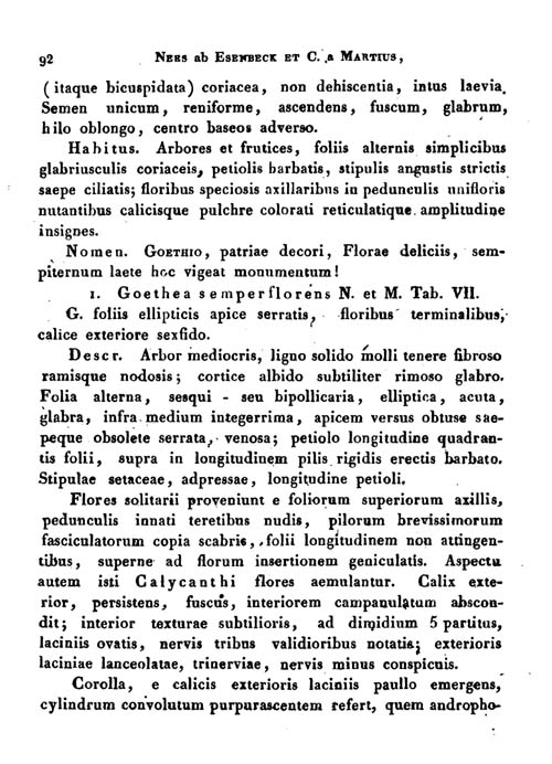 Ruppert 4912 Goethea Nova Acta Seite 92