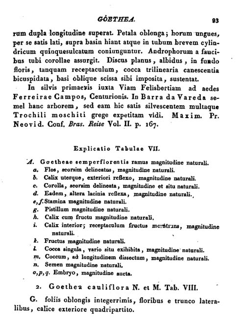 Ruppert 4912 Goethea Nova Acta Seite 93