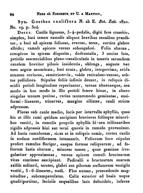 Ruppert 4912 Goethea Nova Acta Seite 94