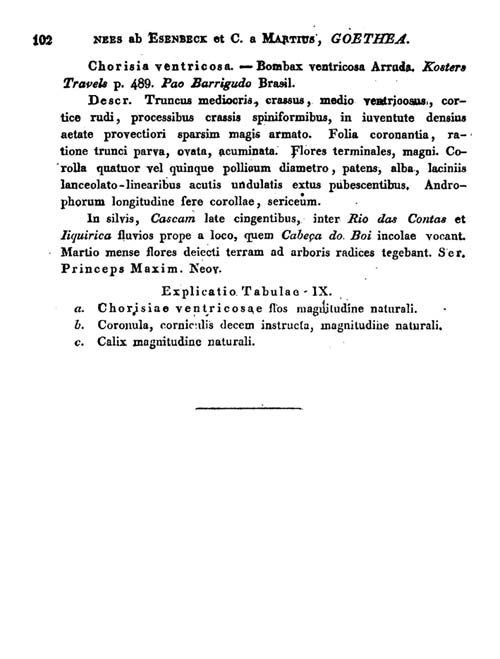 Ruppert 4912 Goethea Nova Acta Seite 102