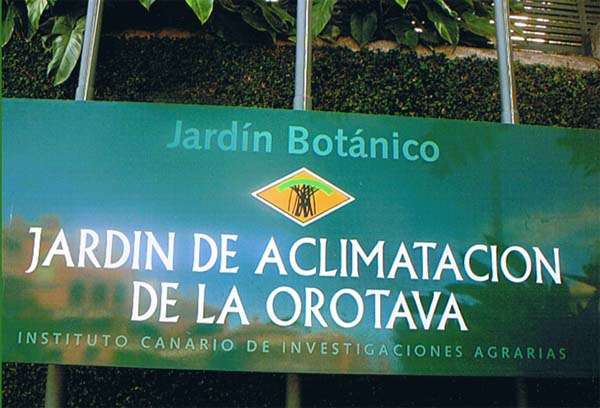 Goethea strictiflora en el Jardin Bot&aacute;nico de Orotava