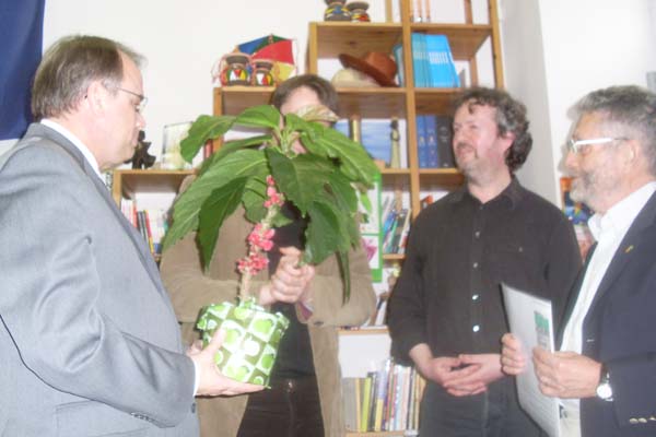 Goethea cauliflora, Prof Grüneberg, Roberto Colin, Dr. Axel Gutmann
